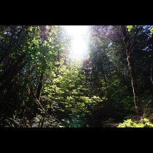 Meet your Posher, Karsyn